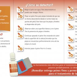  Folleto Piojos