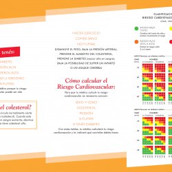 Riesgo Cardiovascular